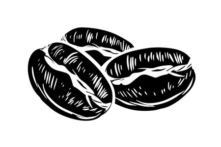 Vintage Hand-drawn Coffee Bean Vector Sketch: A Rich Cafe Icon Logo.のイラスト素材