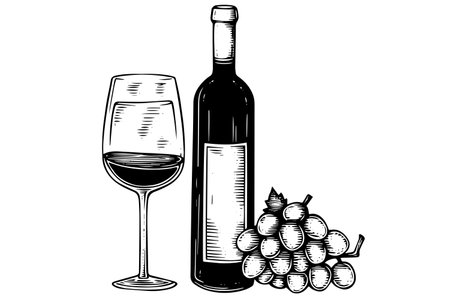 Vintage Vineyard Elegance: Hand-Drawn Wine Illustration with Grapevine Vector Sketch.のイラスト素材