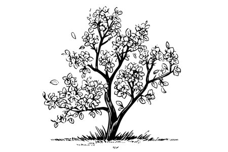 Vintage Tree Sketch. Engraved Illustration in Black and White Vector.のイラスト素材