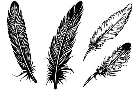 Set of feather engraved in sketch style isolated on white background. Vintage hand drawn ink sketch.のイラスト素材