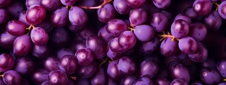 Close up of raw organic sweet red grapes background, wine grapes texture.の写真素材