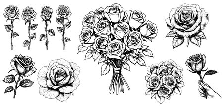 Vector sketch of rose flower with leaves. Hand-drawn floral illustration engraved style setのイラスト素材