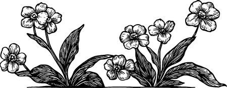 A vintage-style illustration of flowers with detailed leaves and petals, arranged in a symmetrical design. The flowers have a delicate appearance, showcasing intricate line work.のイラスト素材