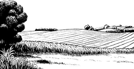 A black and white illustration of a serene countryside landscape featuring rolling hills, a distant farmhouse, and lush trees. The fields are depicted with wavy lines, creating a sense of depth and tranquility.のイラスト素材