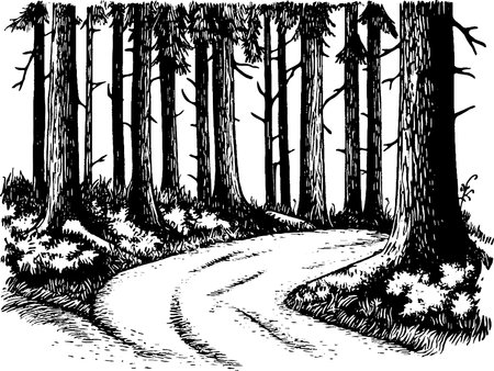 A winding path through a dense forest, surrounded by tall trees and underbrush. The scene is illustrated in a black and white sketch style, emphasizing the natural textures of the bark and foliage.のイラスト素材