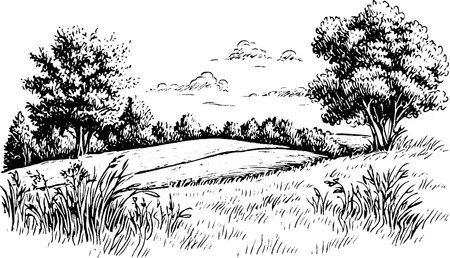 A serene landscape featuring rolling hills, trees, and a cloudy sky. The foreground includes tall grass and wildflowers, creating a peaceful natural scene.のイラスト素材