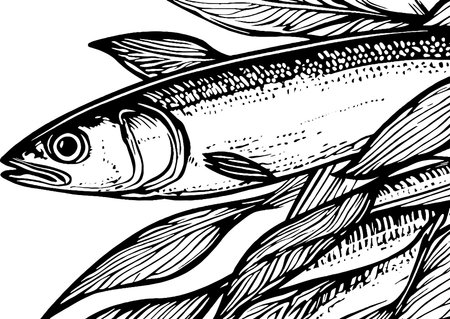 Intricate Black and White Fish Illustrationのイラスト素材
