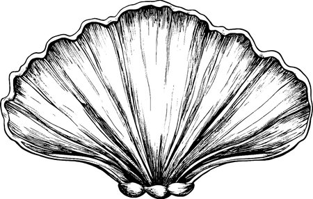 Illustration of a Scallop Shell in Black and Whiteのイラスト素材