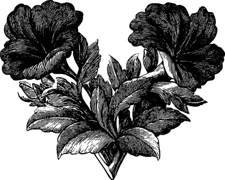 Vintage floral heart wreath design for romantic decorationsのイラスト素材