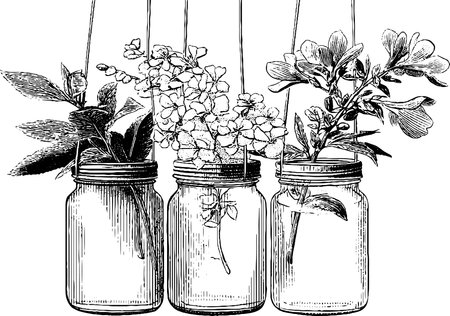 Elegant engraved illustration of hanging jars filled with blooming florals for artistic designのイラスト素材