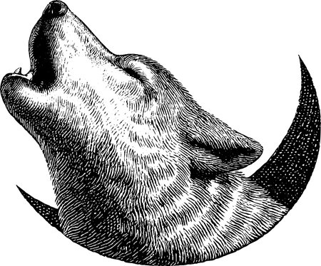 Engraved illustration of a howling wolf under crescent moon