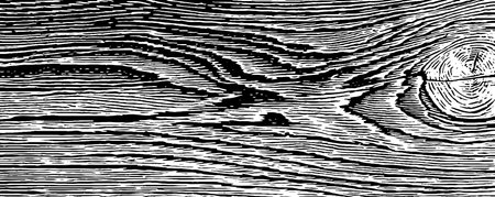 Vintage 1950s woodcut style black and white illustration featuring wood grain patternのイラスト素材