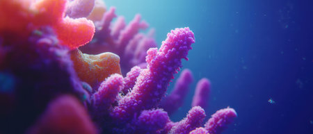 Beneath the waves, vibrant coral reefs thrive in a rich underwater ecosystemの写真素材