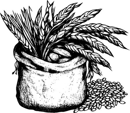 This vintage woodcut shows a burlap bag overflowing with various specialty grains and seeds, showcasing agricultural abundance from a past time.のイラスト素材