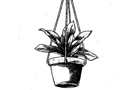 Hanging macrame planter features a beautifully detailed arrangement of leaves and a decorative pot.のイラスト素材