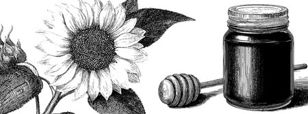 Engraved illustration of sunflower and honey jar set for natural product designのイラスト素材