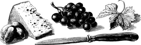 Engraved vintage cheese grapes and knife set for culinary designのイラスト素材
