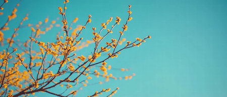 Budding branches under a clear blue sky in a vibrant spring settingの素材