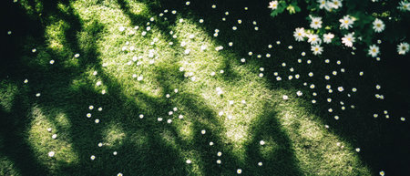 Freshly mown lawn scattered with daisies, showcasing natures simple beautyの素材