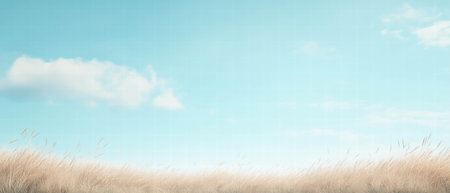 Golden wheat fields stretch under a clear blue sky filled with soft, fluffy cloudsの素材