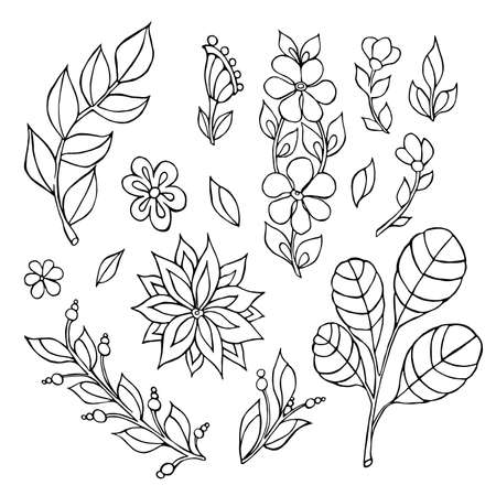 Set with flowers and leaves.Decorative handmade elements. Vector illustration. Botanical set of sketched flowers and leaves. Coloring.のイラスト素材