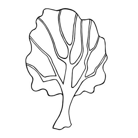 Decorative coloring illustration with tree. Stylized tree, Hand drawn tree for adult coloring book, pages, art therapy. Illustration for posters, design and greeting cards.のイラスト素材