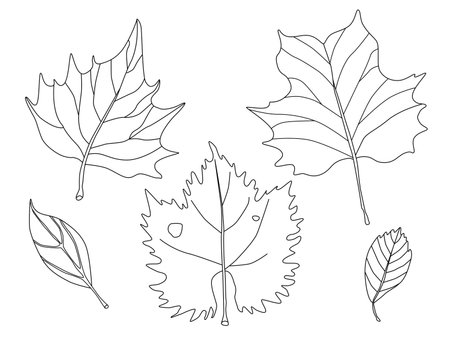 Illustration with autumn leaves. Vector set for design of autumn postcard, card, invitation, poster, advertisement. Hand drawing.のイラスト素材