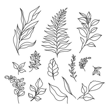 Set of leaves in doodle style. vector graphics. hand drawingのイラスト素材