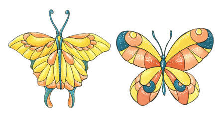 Illustration of beautiful exotic butterfly with colorful wings. Tropical flying insect. hand drawing.の写真素材