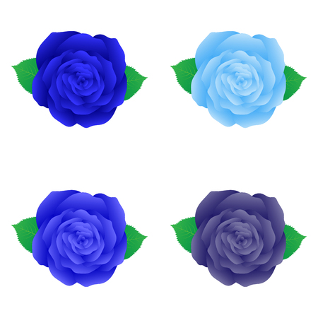 Isolated blue rose for decoration, set of blue roseのイラスト素材