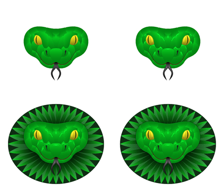 Green snake head, vector illustration of snake head.のイラスト素材