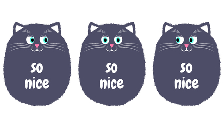 Vector Gray Cat in Cartoon Style. Funny Illustration of Sitting Gray Kitten with Turquoise Eyes and with Inscription So Nice. Cute Thick Catのイラスト素材