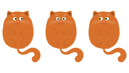 Orange Kitten with Green Eyesのイラスト素材
