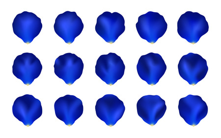 Set of Blue Rose Petals, Mesh. Collection of Vector Rose Petals Isolated on the White Background. For Your Designのイラスト素材