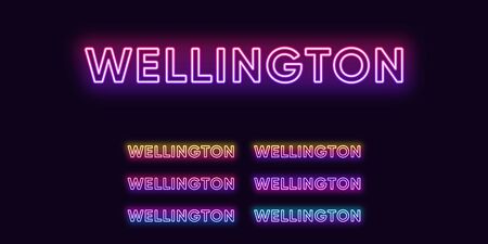 Neon Wellington name, capital city in New Zealand. Neon text of Wellington city. Vector set of glowing headlines with transparent backlight. Bright gradient colorsのイラスト素材