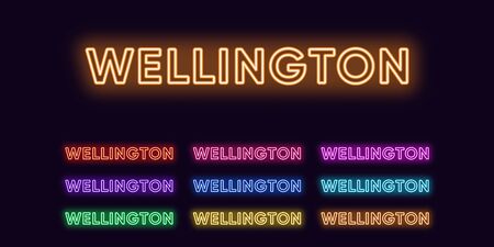 Neon Wellington name, capital city in New Zealand. Neon text of Wellington city. Vector set of glowing headlines with transparent backlight. Red pink purple, violet blue azure, green yellow orangeのイラスト素材