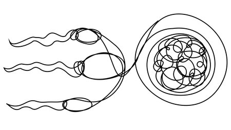 Spermatozoa and egg in one line on a white background. Stock illustration of fertilization.のイラスト素材