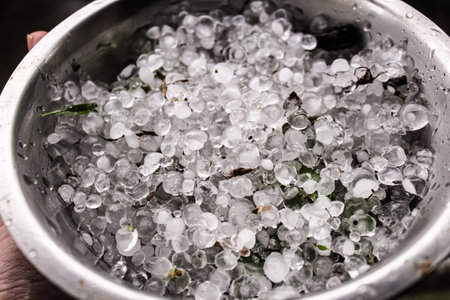 A metal bowl is filled with icy hail pellets collected after a storm. The ice varies in size, and some leaves are mixed in, highlighting the aftermath of severe weather conditions.の写真素材
