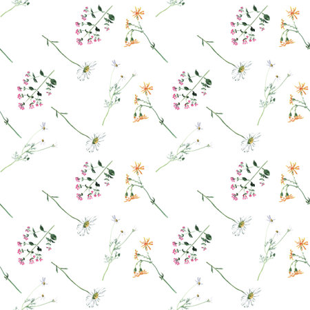 Seamless pattern - a floral watercolor sketch of chamomile, oregano and other wild flowers.の写真素材