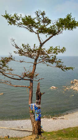 Rock of the shaman's dragonの写真素材