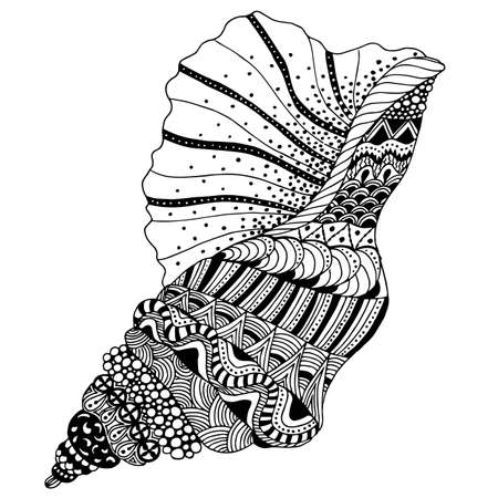 Antique engraving vector illustration shell black and white clip art isolated on white backgroundのイラスト素材