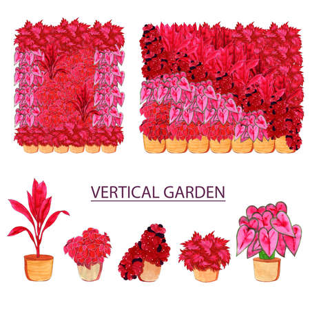 Vertical garden in pink shades - indoor plants in the interior. Compositions from living plants. Hand-drawn watercolor illustration.の写真素材