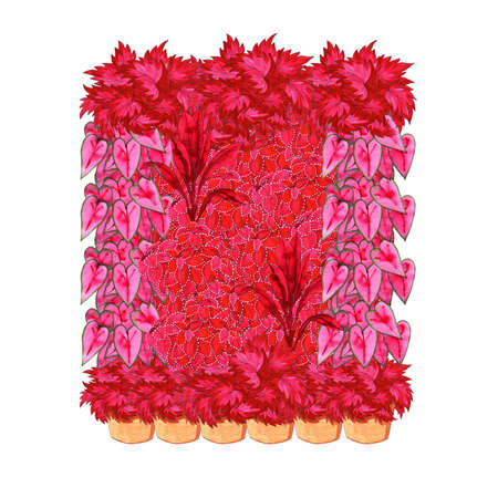 Vertical garden in pink shades - indoor plants in the interior. Compositions from living plants. Hand-drawn watercolor illustration.の写真素材