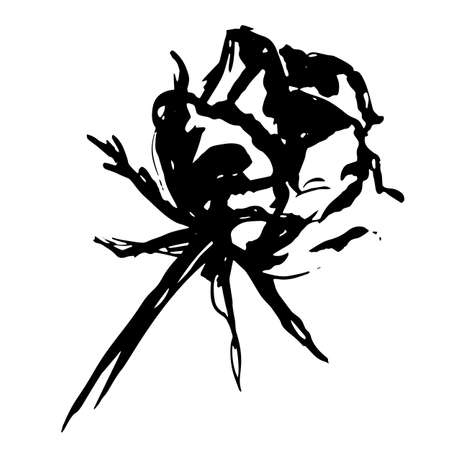 Rose in graphic stylized style, sketch with black ink - - Hand drawing vector illustrationのイラスト素材