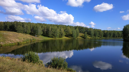Birch forest on the bank of a quiet river - bright blue sky and cumulus clouds reflected in the waterの写真素材