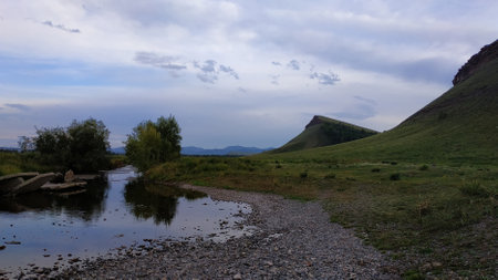 Small lush green bushes near the shallow river aryk with icy waterの写真素材