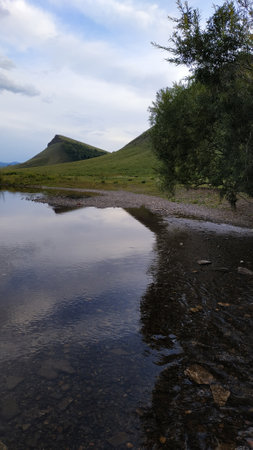 Small lush green bushes near the shallow river aryk with icy waterの写真素材