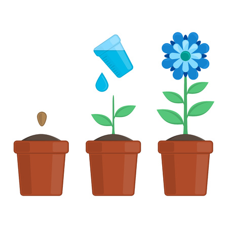 Plant growing stages.のイラスト素材
