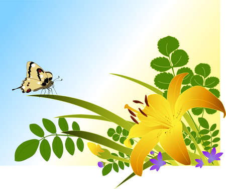 floral background with lily, green brunches and butterflyのイラスト素材