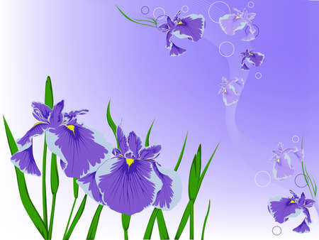  background with a violet flowersのイラスト素材